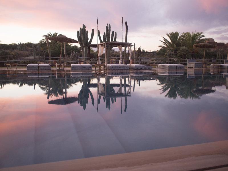 810E8ED6AF50F1AB4C42F416D56EFD90