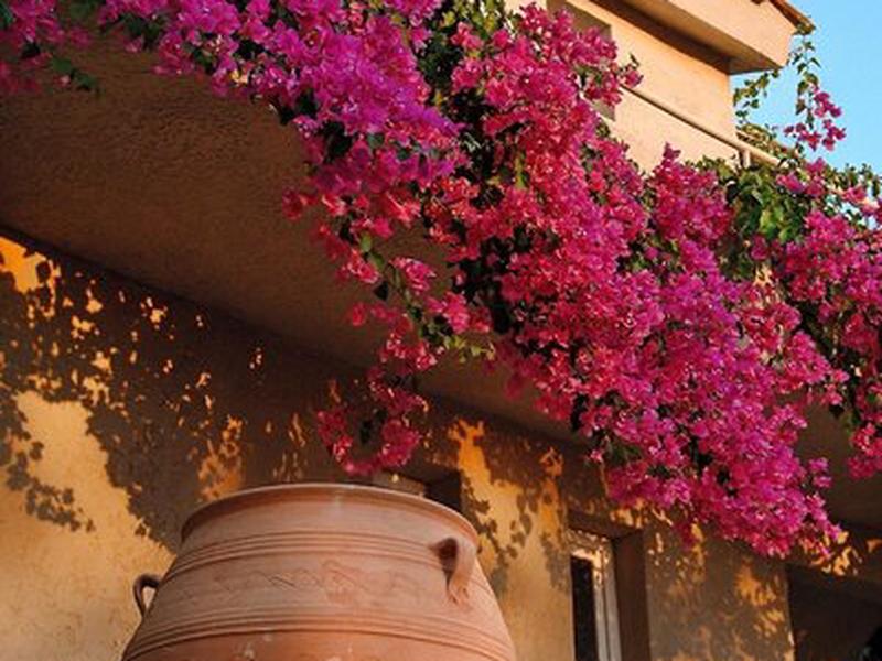 B0CEF97C2984101A6C12FAF0869F48BE