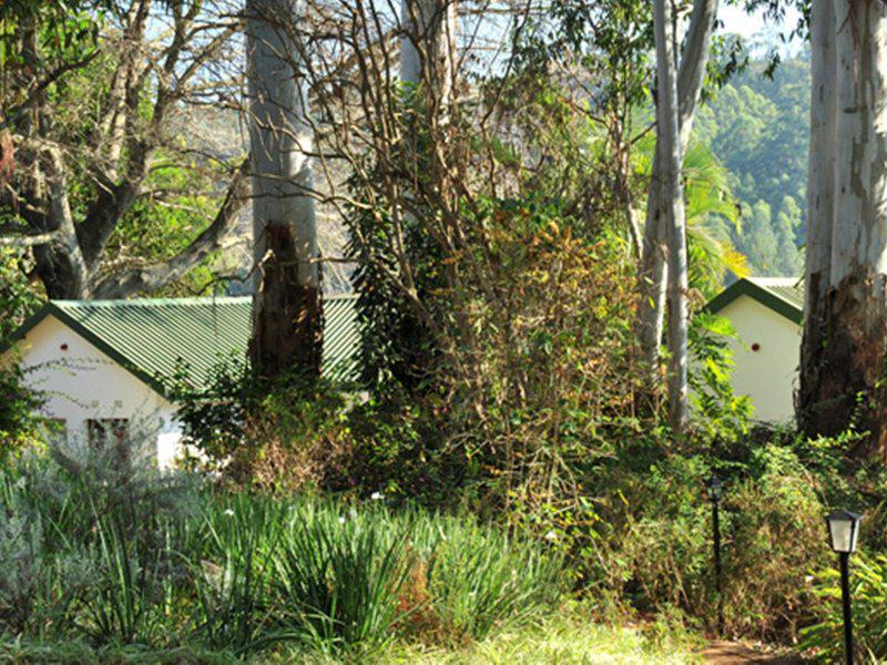 2B97DE9AE50825CE07C8C4D99EB947D6