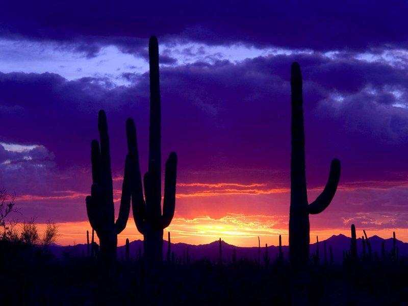 11237FCDFC7C913E8CD65B276AC21A23