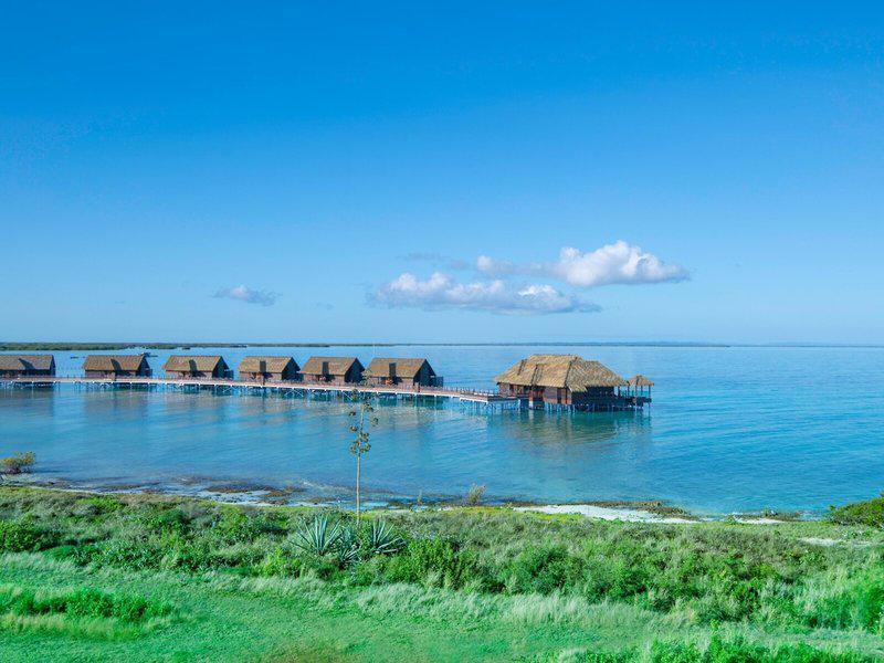 11BC901054A2BB5D62534D7CE3BCB65A