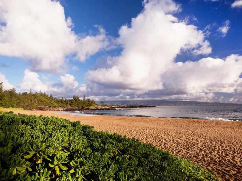 777F2214809D10B5C201957B41A11902