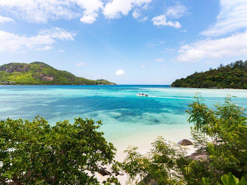 98310FC5EE9B497BDB2695FC3038AECF