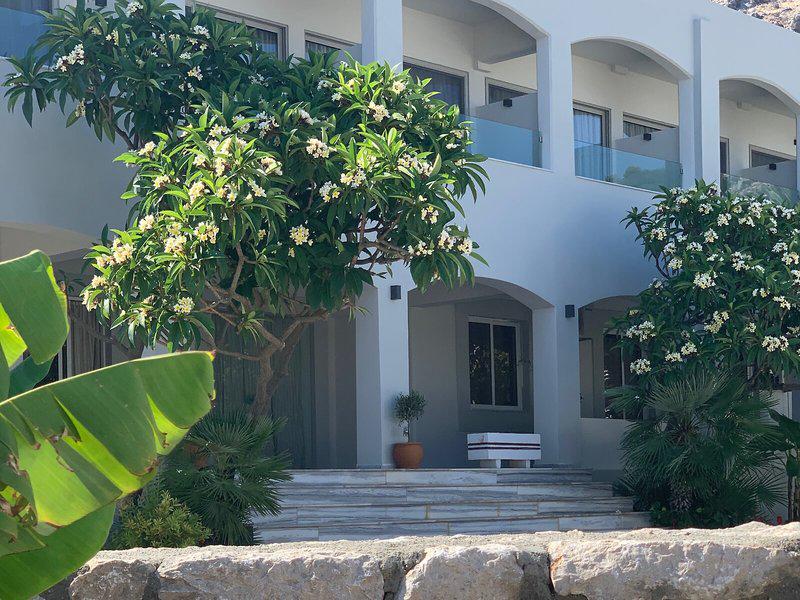 EA1C83A955998A8214D7131326C62C45