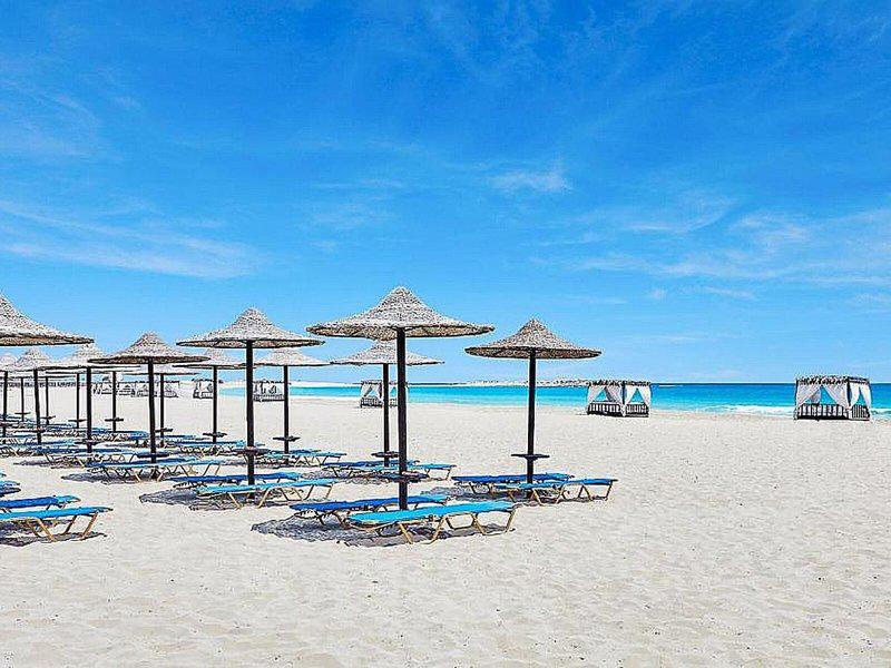 777934A36E74F6245EF40007F01AE4A4