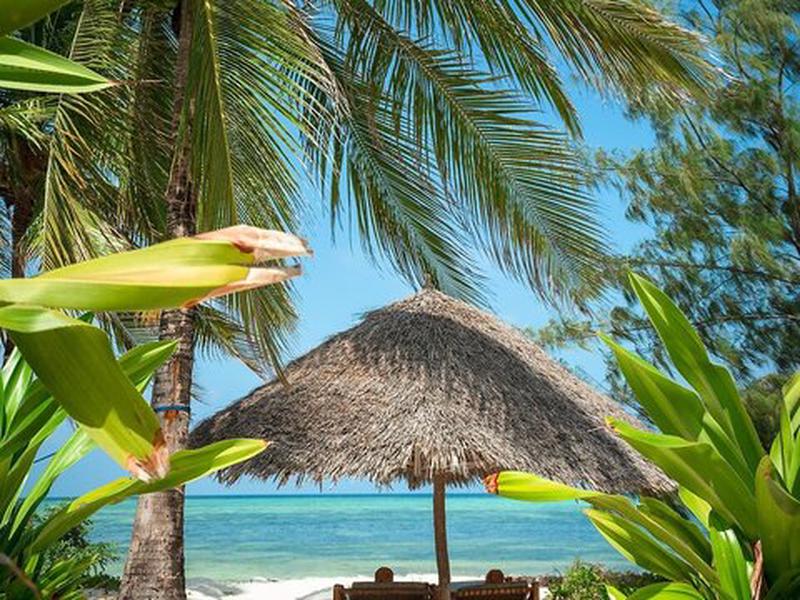 D1C69637CD6414396AB8A9B119170FF8