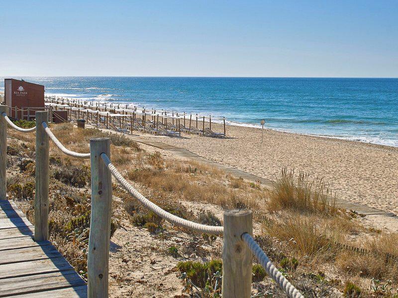 225430F37C2AA6AE65B7050BB0100360