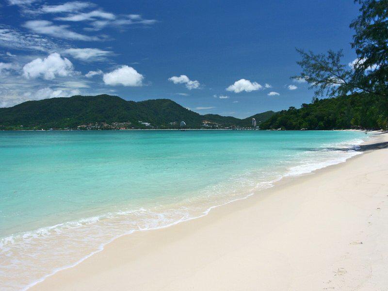 51FB3A90937CC538CF887F5B50BF5E33