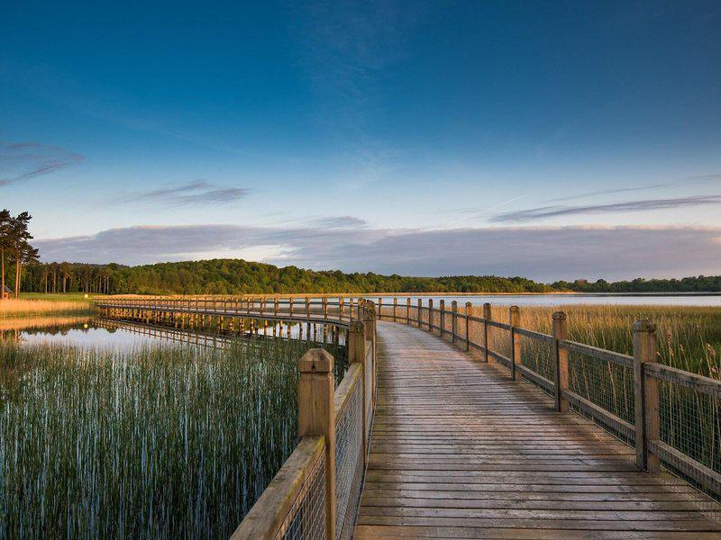 D68E02332B74CEAB83484647D9D88E1F