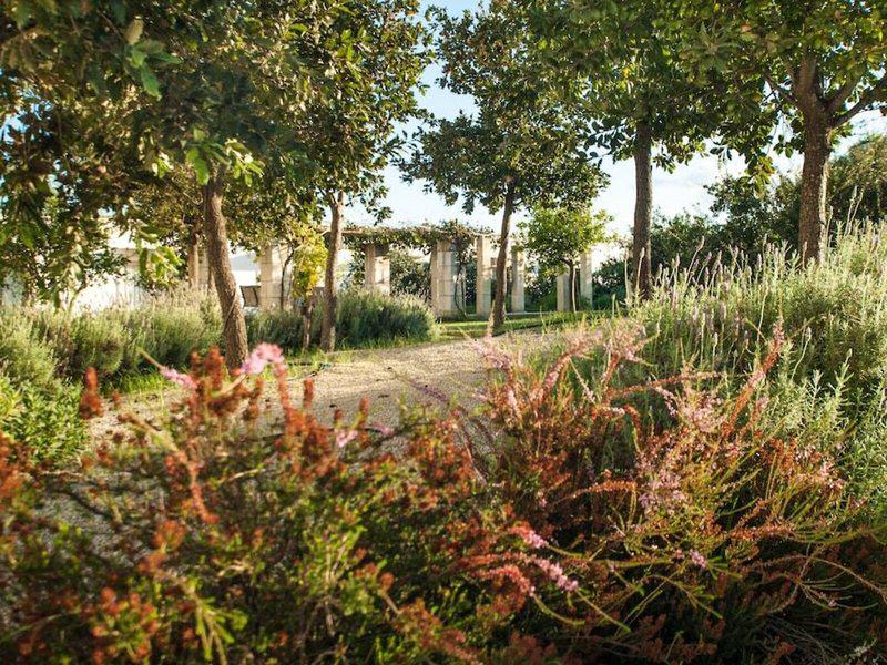 582FCEB922E7C164A42E3C6EFD8ECE26