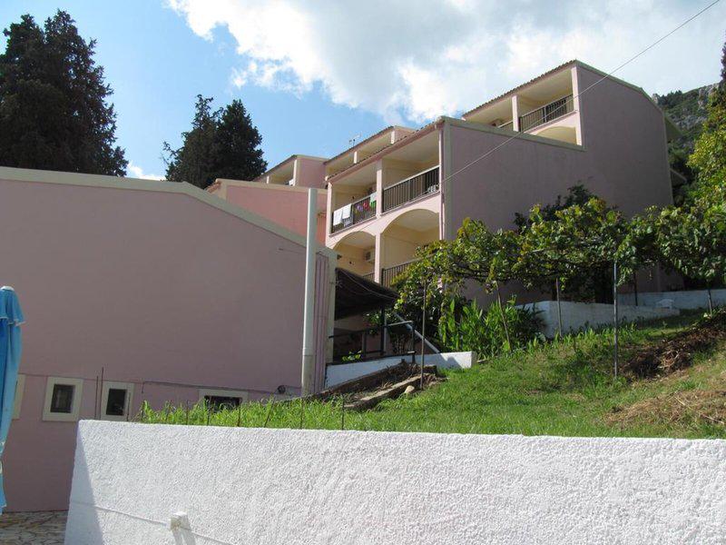 3CB452535C019154C6CA683FF9D577AE