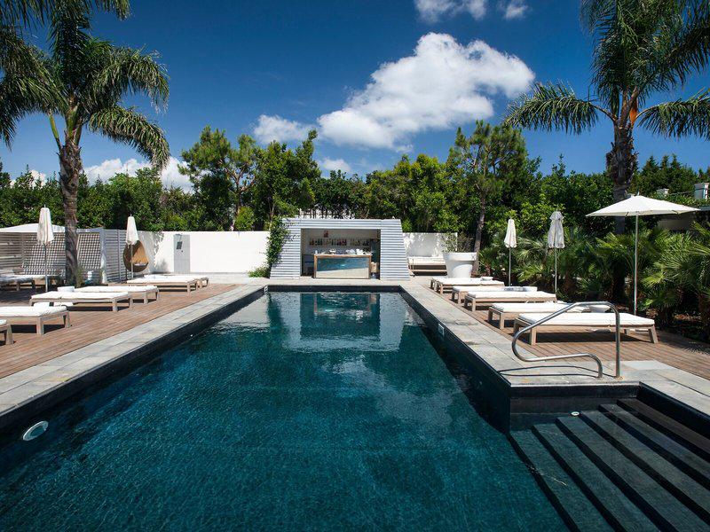 045EF7E1B0DAA8453BB219BBEF95DA84