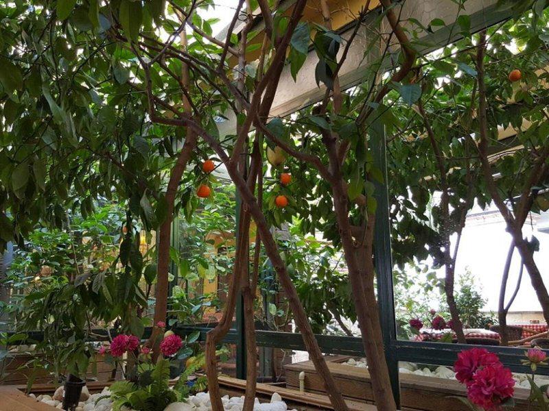 BD0F302766DAC0A700D34FFCC07475A6