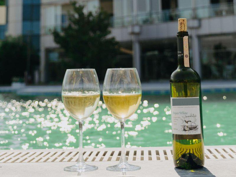 9F51C562D83B36C29577016D81E9D1F2