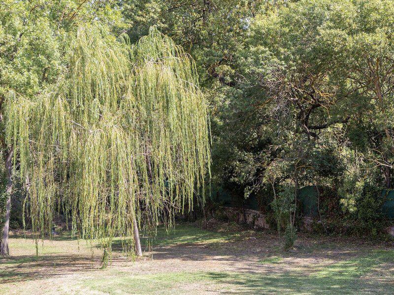 F03D2C525DD386F798BB1E69C9CA0393