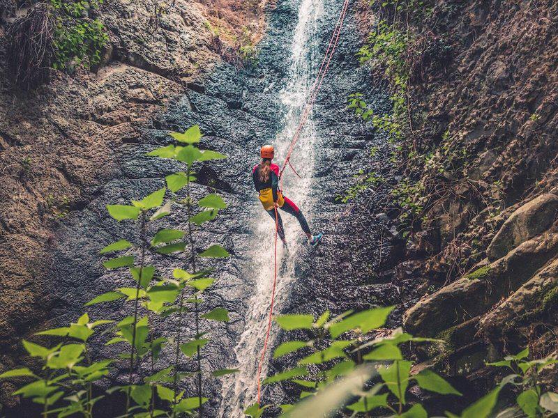 C25C775EC583D0E4A9E712386ED98560