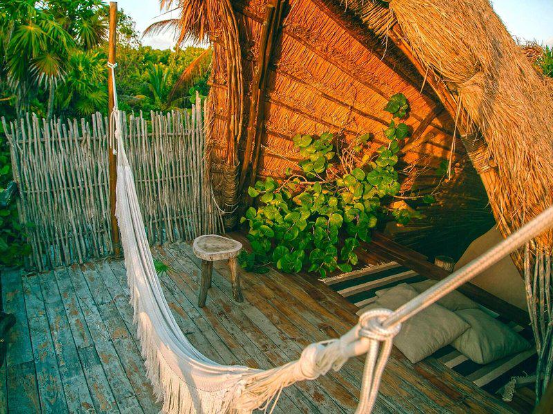 6A54CF9B8A78A0B81FB304AEA893395B