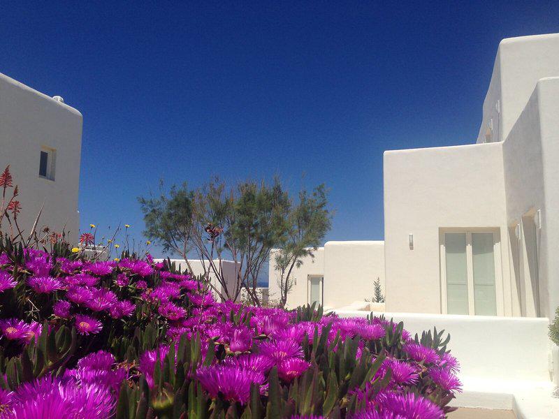 8307287A1F245A9CB32F496F56356C3A