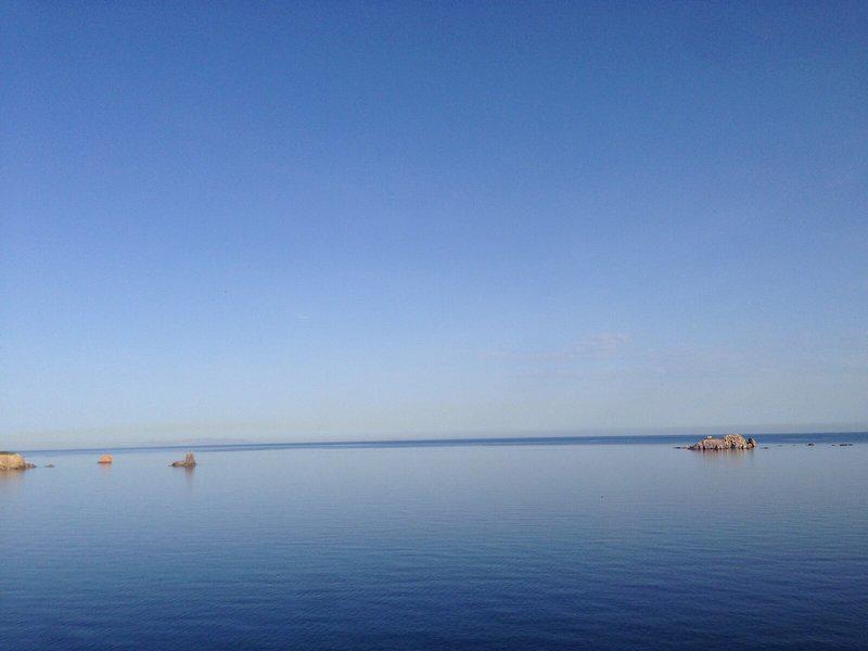 77B37867E3BDA9B03AD5EF43E710DF19