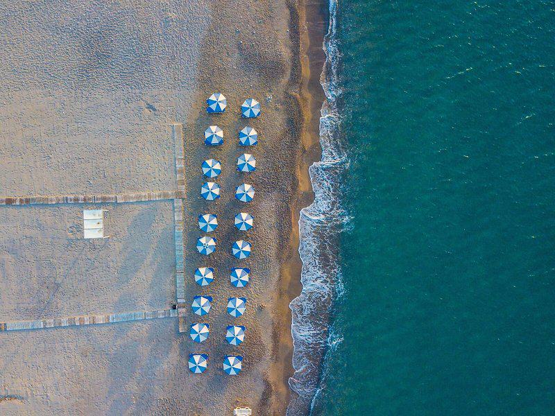 8A12736BBFA3DDE892201E70969A59F1