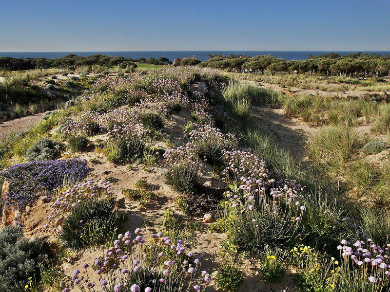 1534CE7704E3019BAFB681AE00AE8D2F