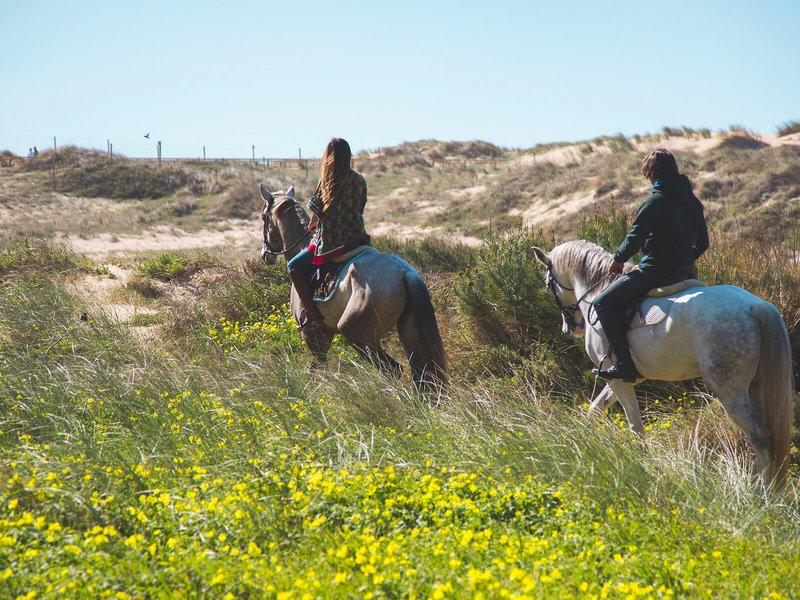 7C34286E80A35A8BAA072473AC4C2EC5