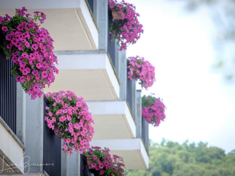 243D990D6B09E718A2B3314B9D259531