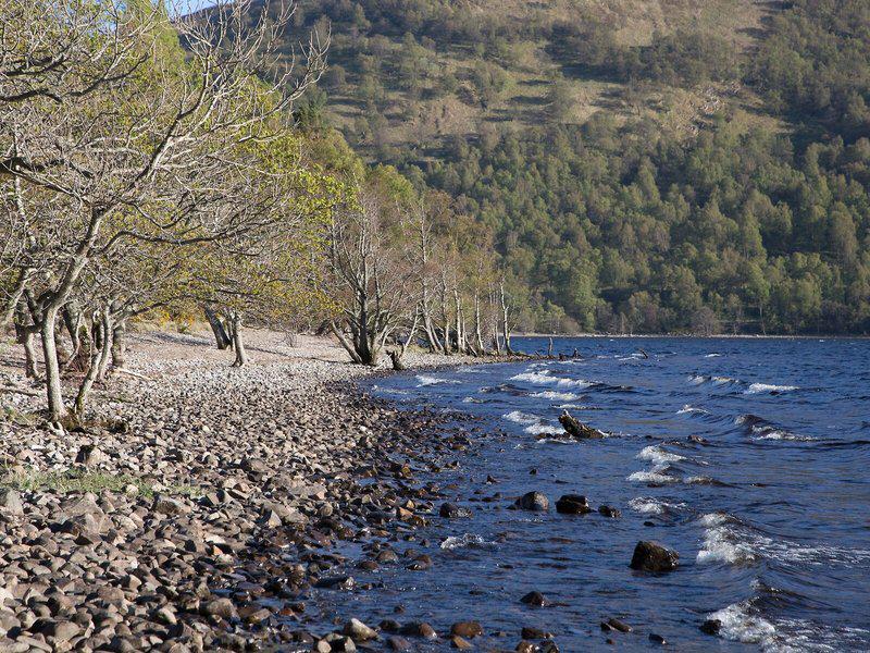 2788DA91C44A53A70E70521970F76F66