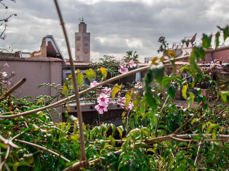 1F47AD32864E2F03B5FE982877C8B66B