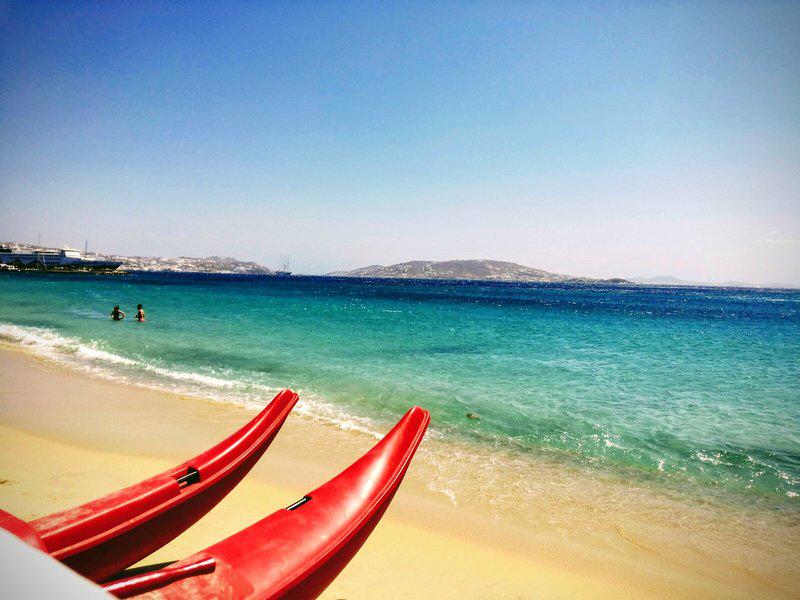 966672D7A8771B4A6E43D4CF29845B26