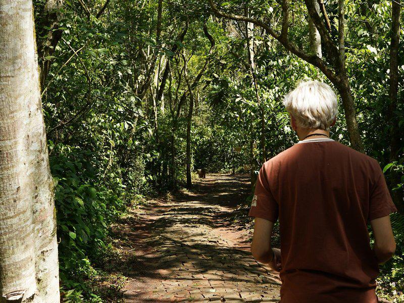 B80F4BD365F3AF5163D960C48733ADF9