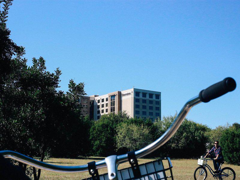 A591E034848A8BCC4B6F96B8E19C01BF