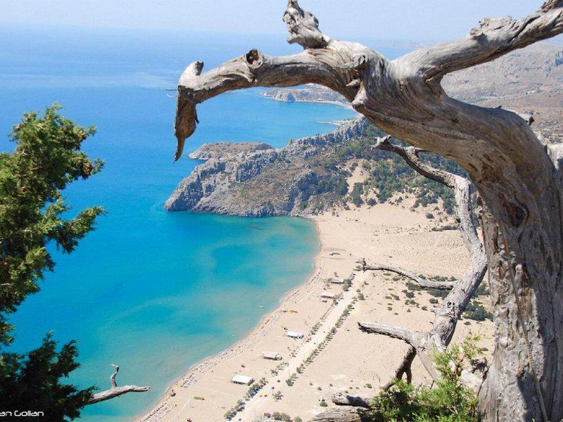 D1193302EE7425EDD7FEDEA2F5D2F0DE