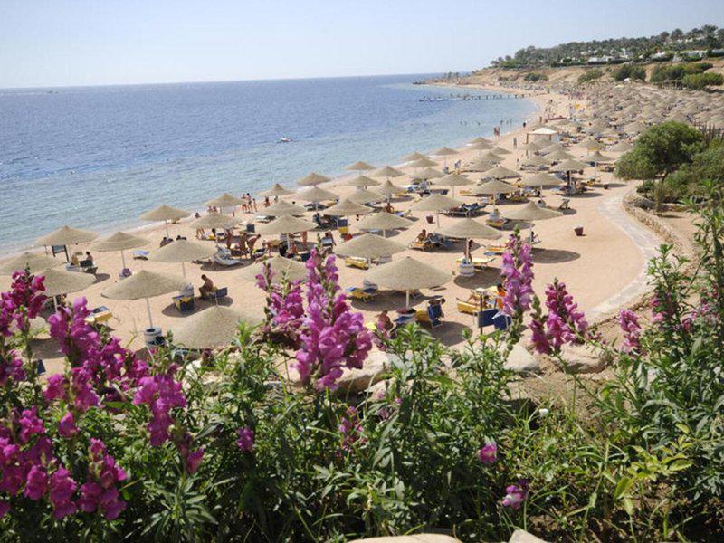 A95B29FC702FBB97D3A35819EA75415F