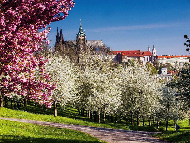 A22E6B2F58E2A5DA13B2E81BD85924D2