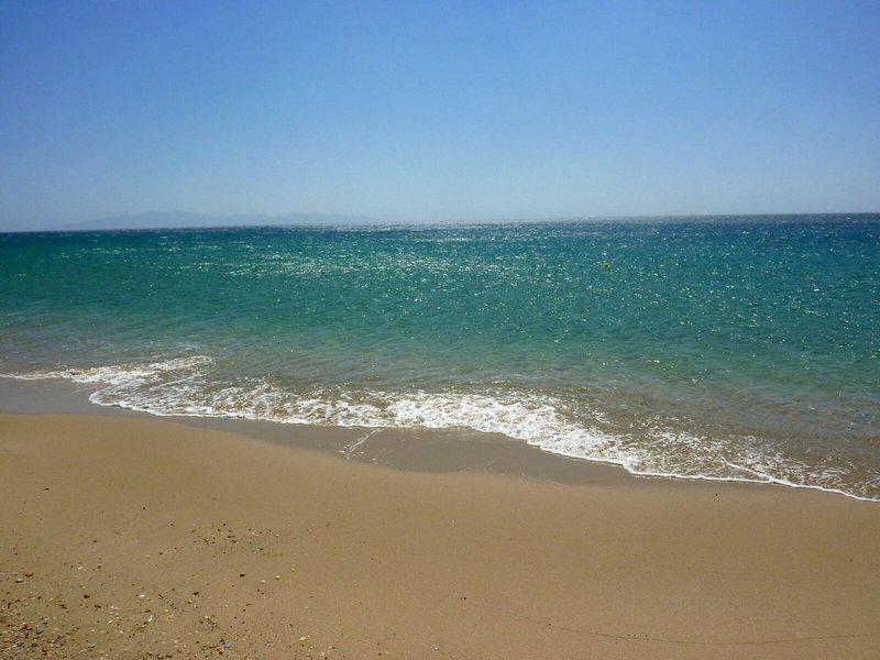 C3D6611B9EEFC01E3DD8C6C4E0C29223