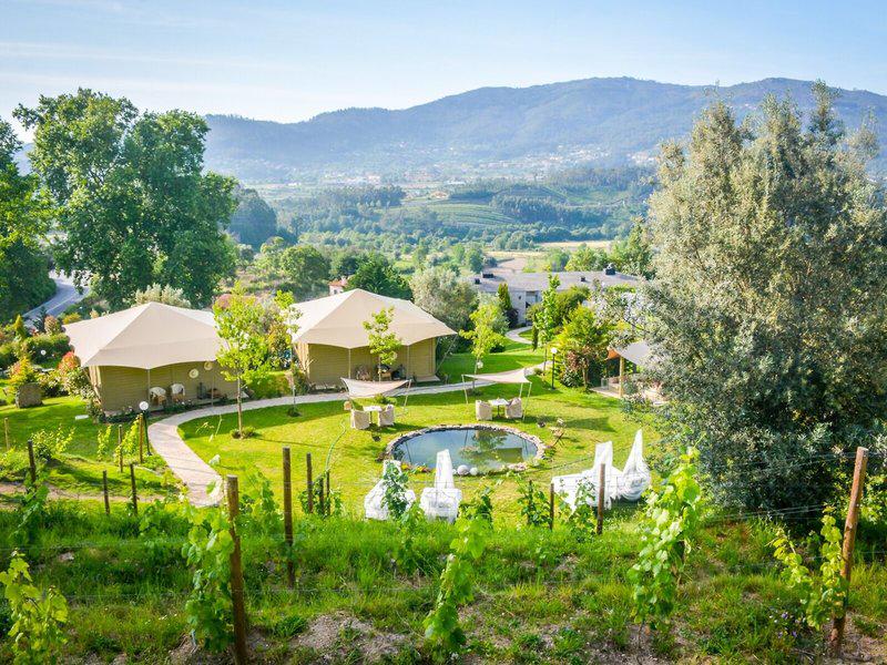 82ED6944A2D3E2F0ECC7ED65856A3B2E