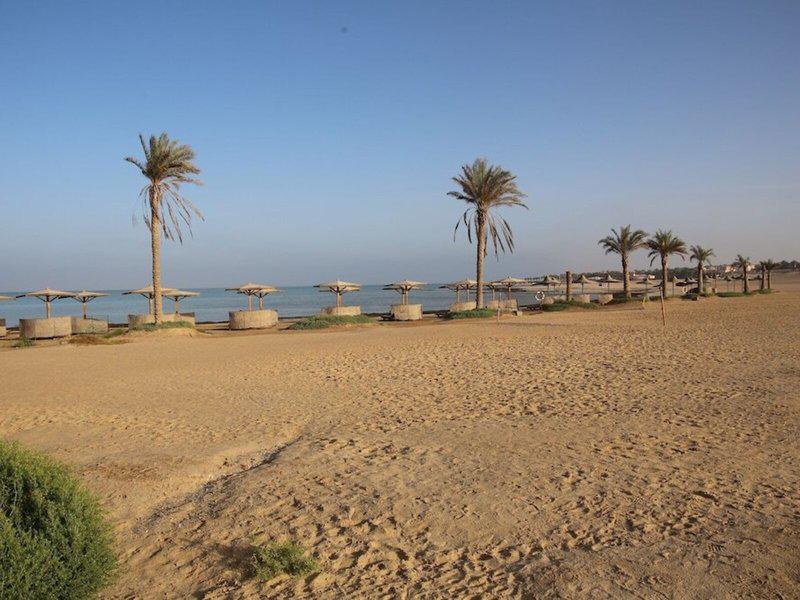 F7AE5BC0050B1084D6E6B2621EDF9A55