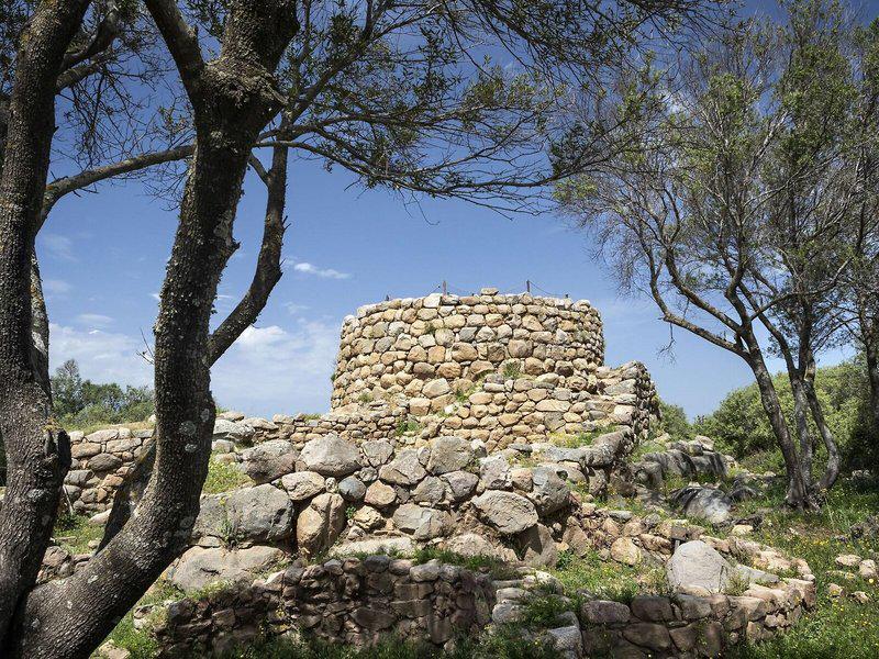 173C3889A1C48CA3D5DEDA608CC586A7