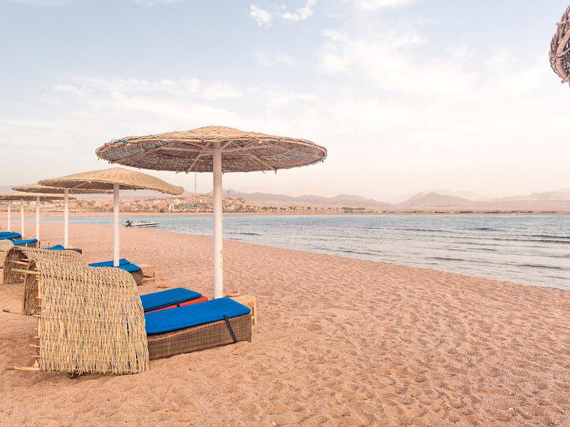 92B456A2193D168A800CD04C0B3EE8EE