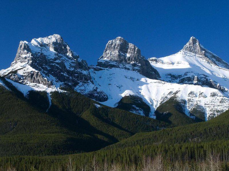 54F90B8962EE54FAB5D80C9DE094ECA4