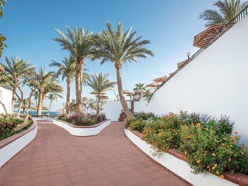 A2D964BF66D6CB8A2EF0635CFC36047F