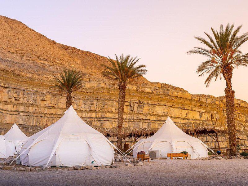 B1598C6A80EAECD3CDAC4A2C449D4DBF