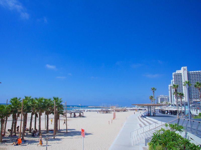 1487951C10889C38642B0617DC69D627