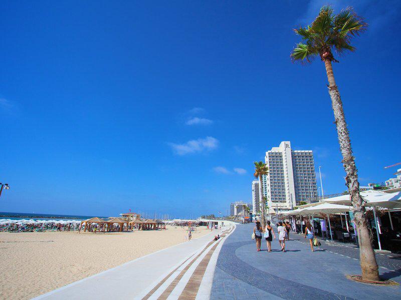 53A12106C3BC06AFB16450FC8326E68E