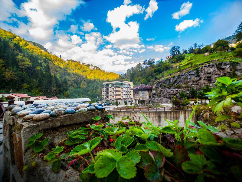 DE022E753ED227DB9C31C4DA1A63648C