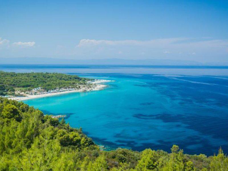 8EC72BD510811706E0D625F8FC06D9CB