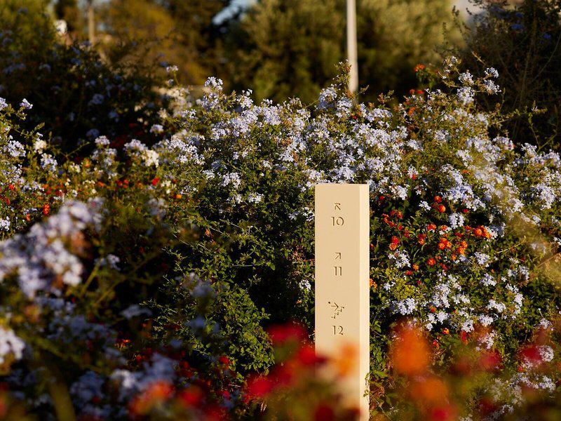 206CEC72C8CF9FAE35B793CCAC6424BB