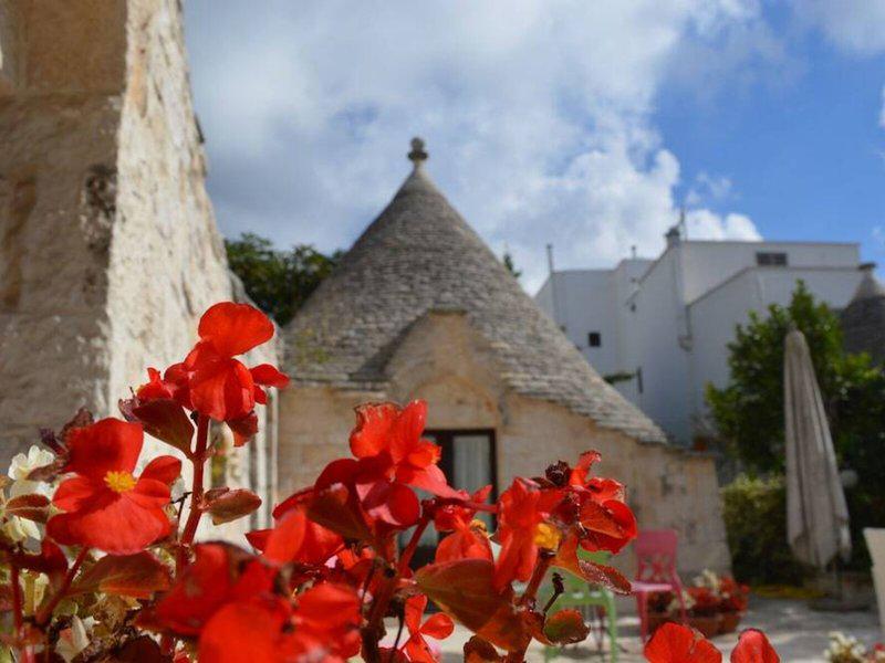 B20F6DCB982D647179AC90890376EE50