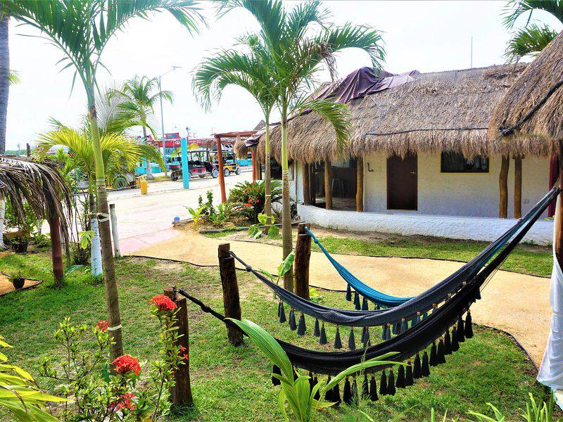 E0BCAD801B9CD4DA5C85D974E7DFC9C1